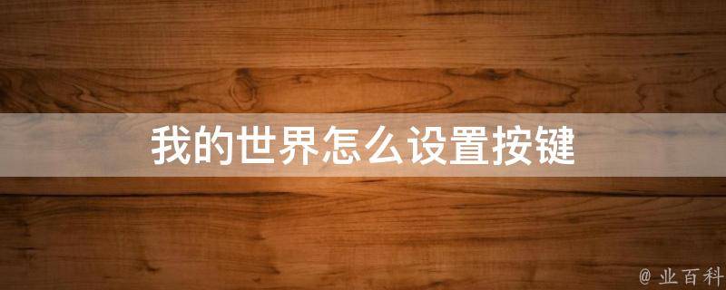 我的世界设置