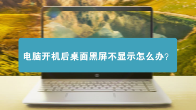 电脑显示器不显示