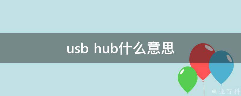 hub什么意思