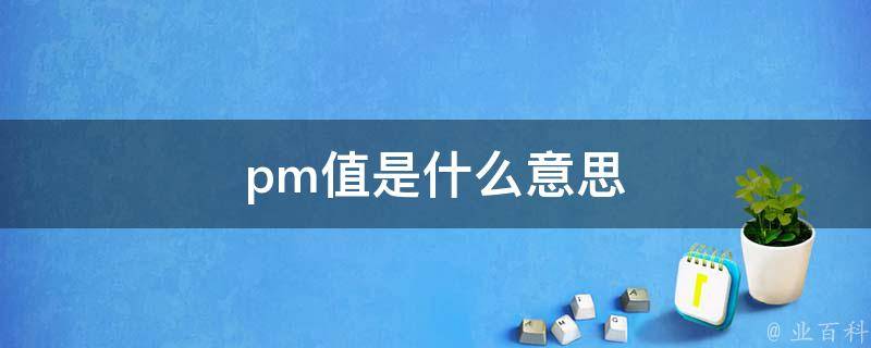 pm什么意思