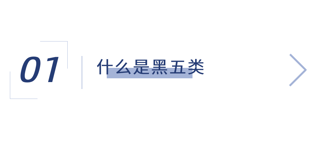 黑5类