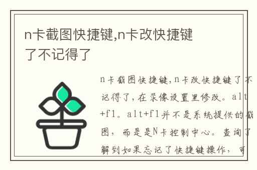 n卡快捷键