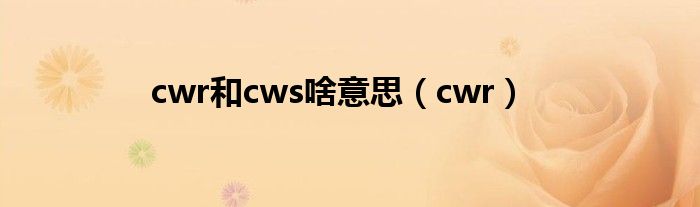 cws是什么意思