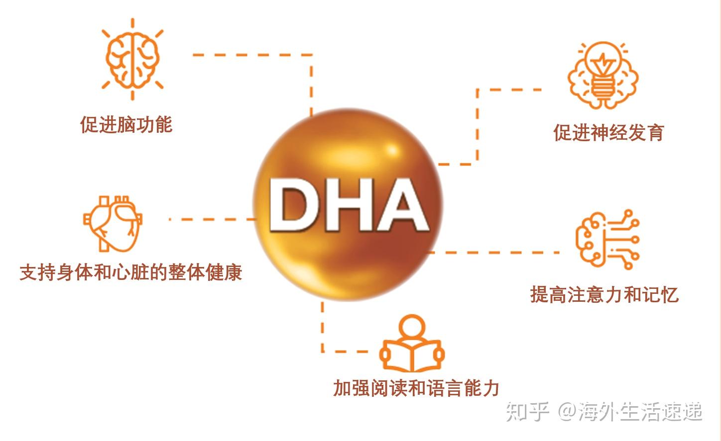 hda是什么