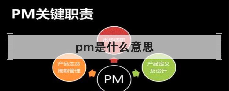pm什么意思