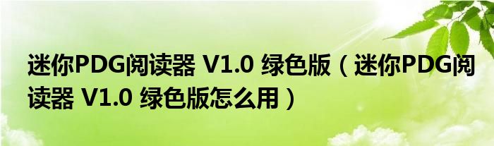 pdg阅读器