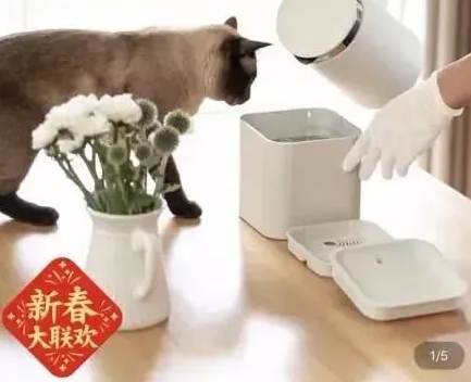 宠物医疗工商注册备案