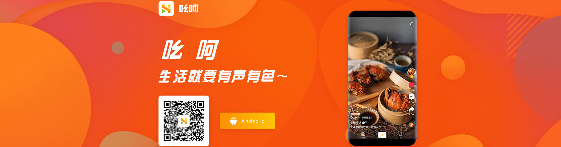 网狐