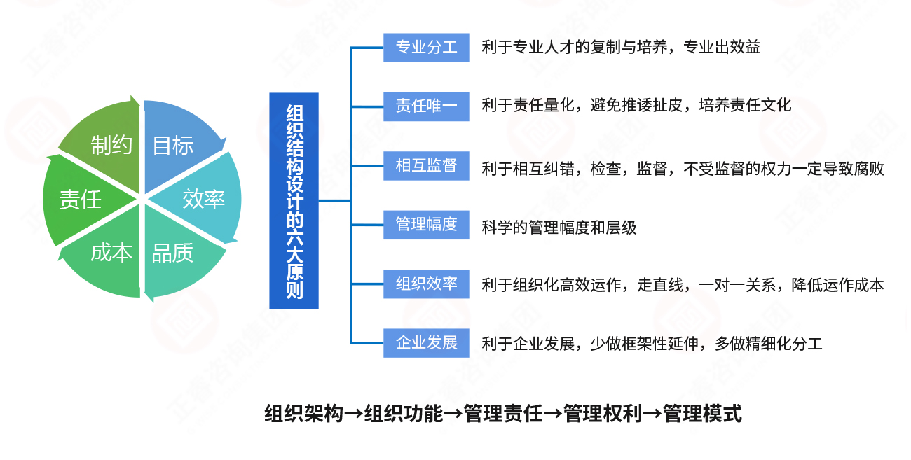 组织策略