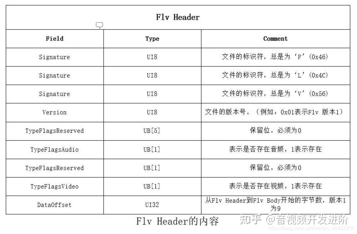 flv格式