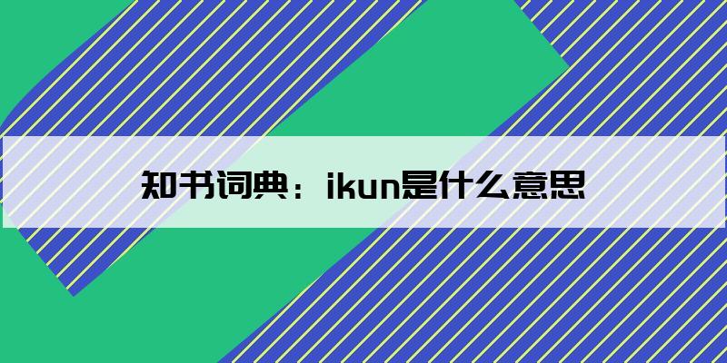 iqn是什么意思