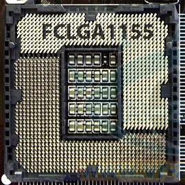 lga1155