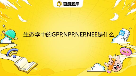 npp是什么意思