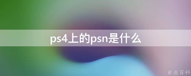 psn是什么