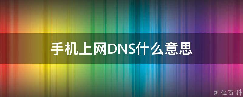 dns什么意思