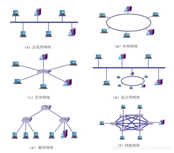 网络类型