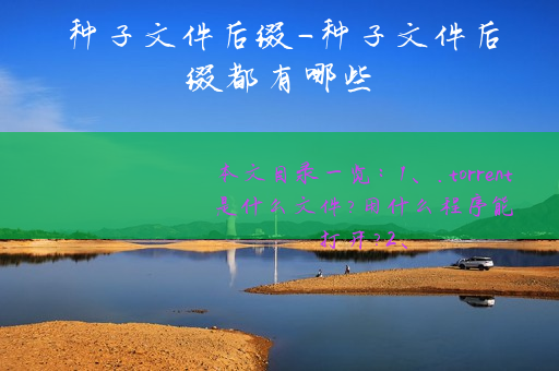 种子文件后缀