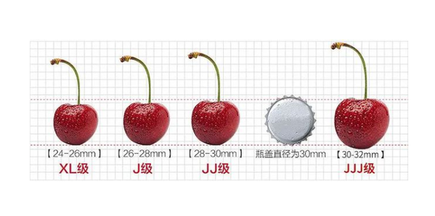 xld是什么意思