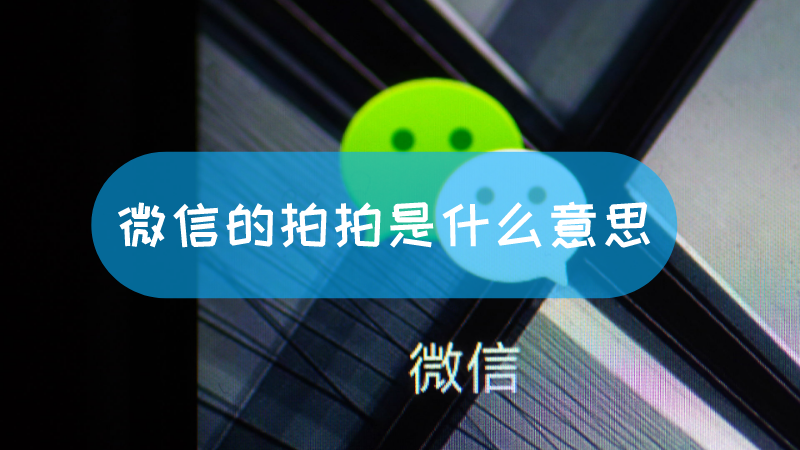 拍拍是什么意思