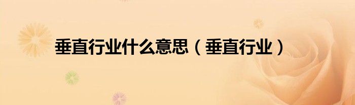 垂直行业什么意思