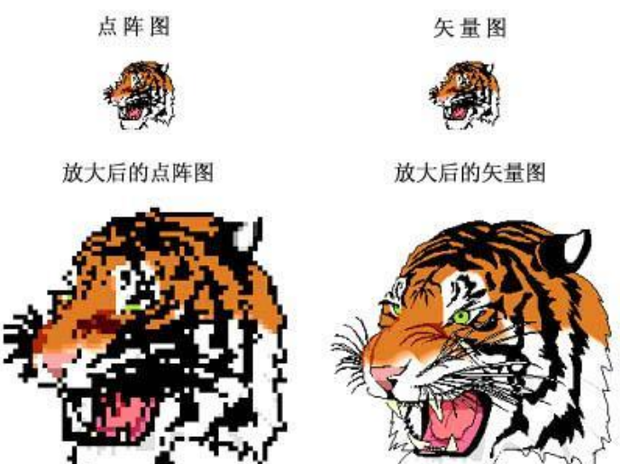 位图文件