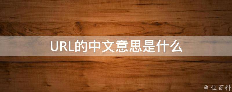 url是什么意思