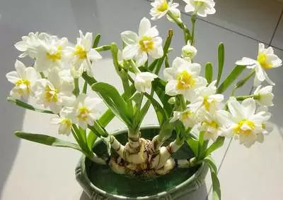 什么是水仙花数