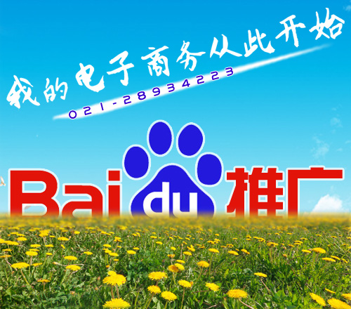 上海百度优化
