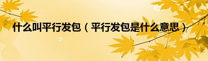 发包是什么意思