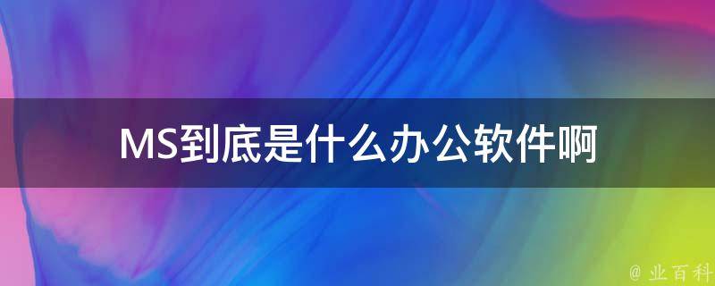 MS是什么软件