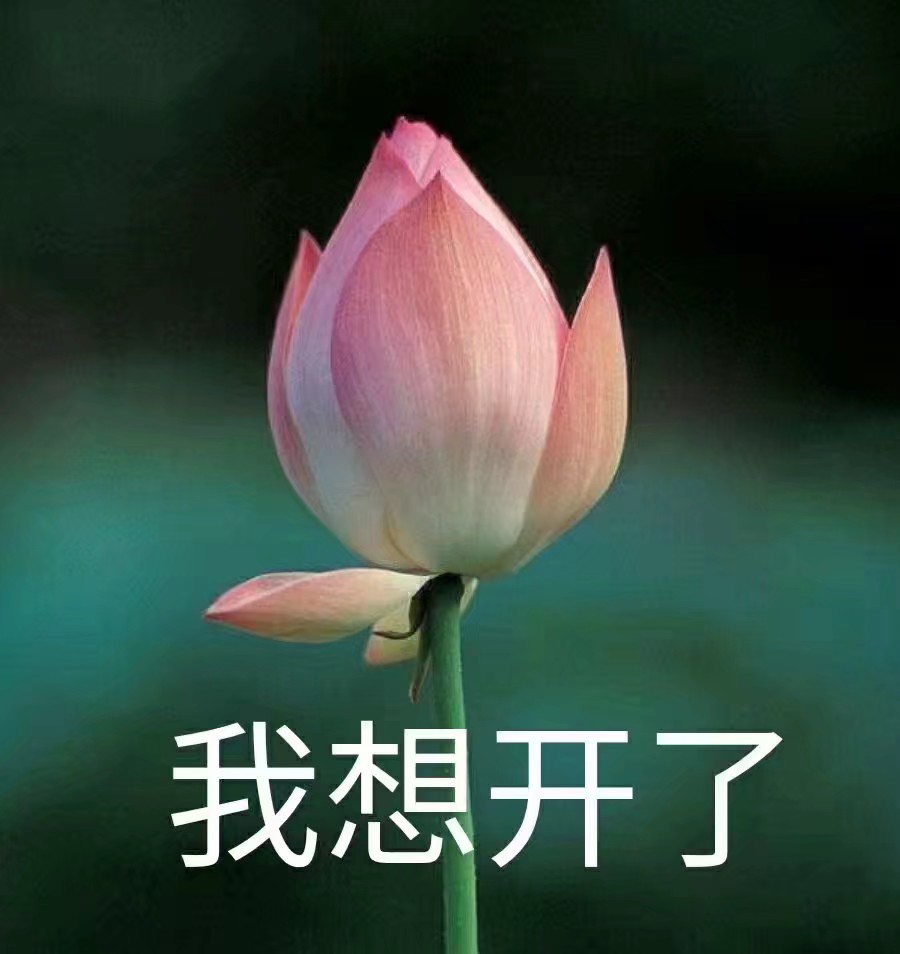 想开了的图片