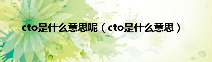 cto是什么意思