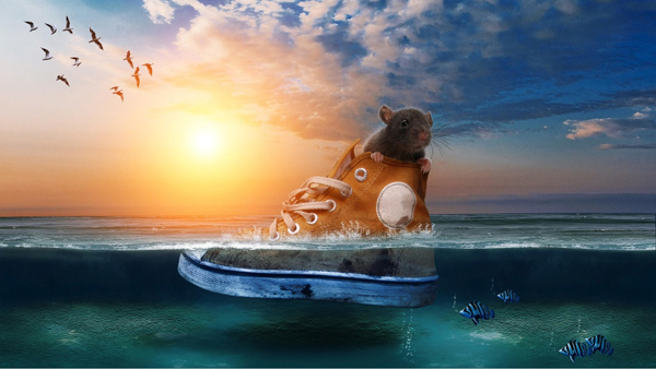 linux浏览器