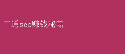 王通seo