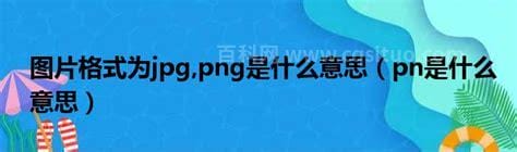 pn是什么意思啊