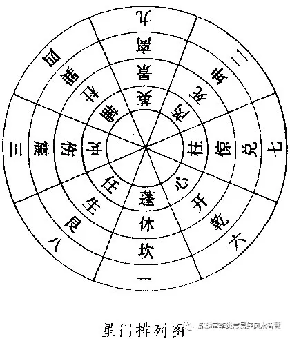 八v