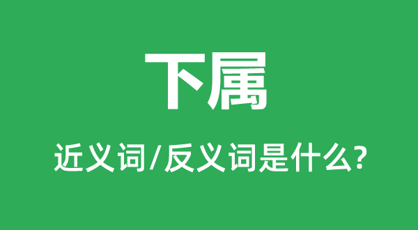 下属是什么意思