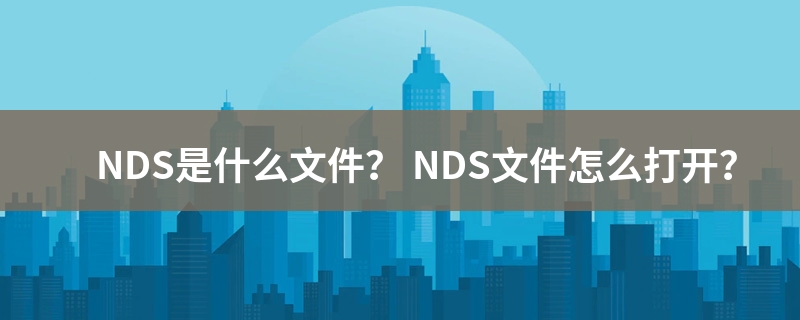 nds是什么意思