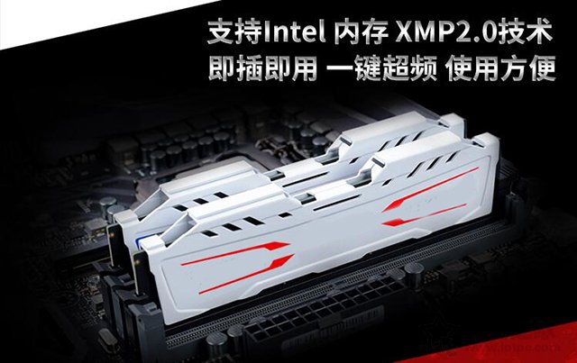 内存xmp