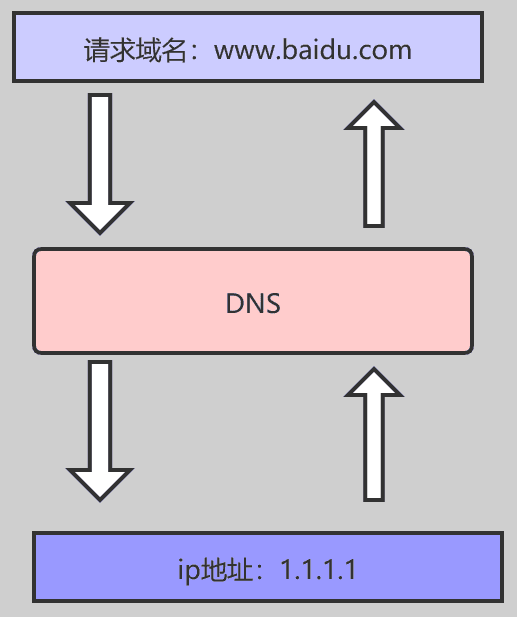 网络dns