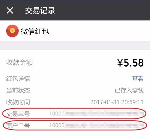 微信交易单号查询