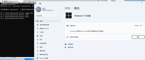 cp命令的用法