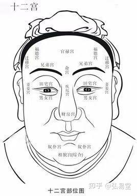 田宫