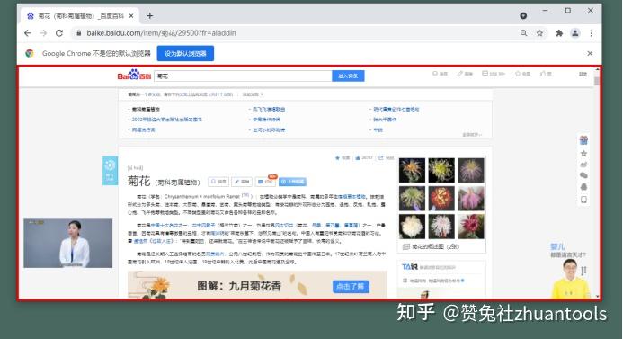 网页截长图