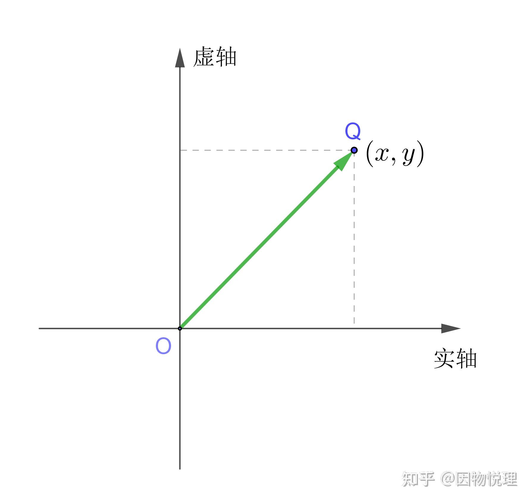 什么是向量