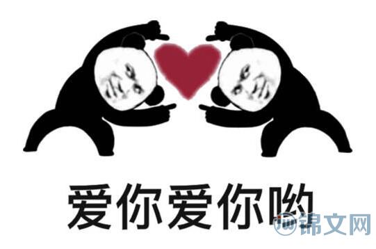 224是什么意思