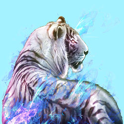 白虎直播