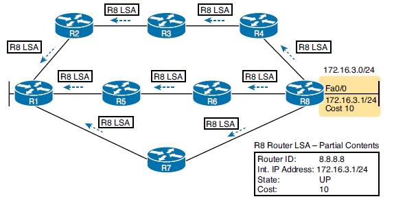 OSPF路由协议