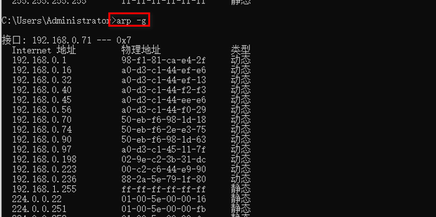 arp表