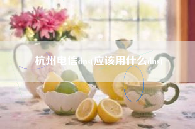 杭州电信dns